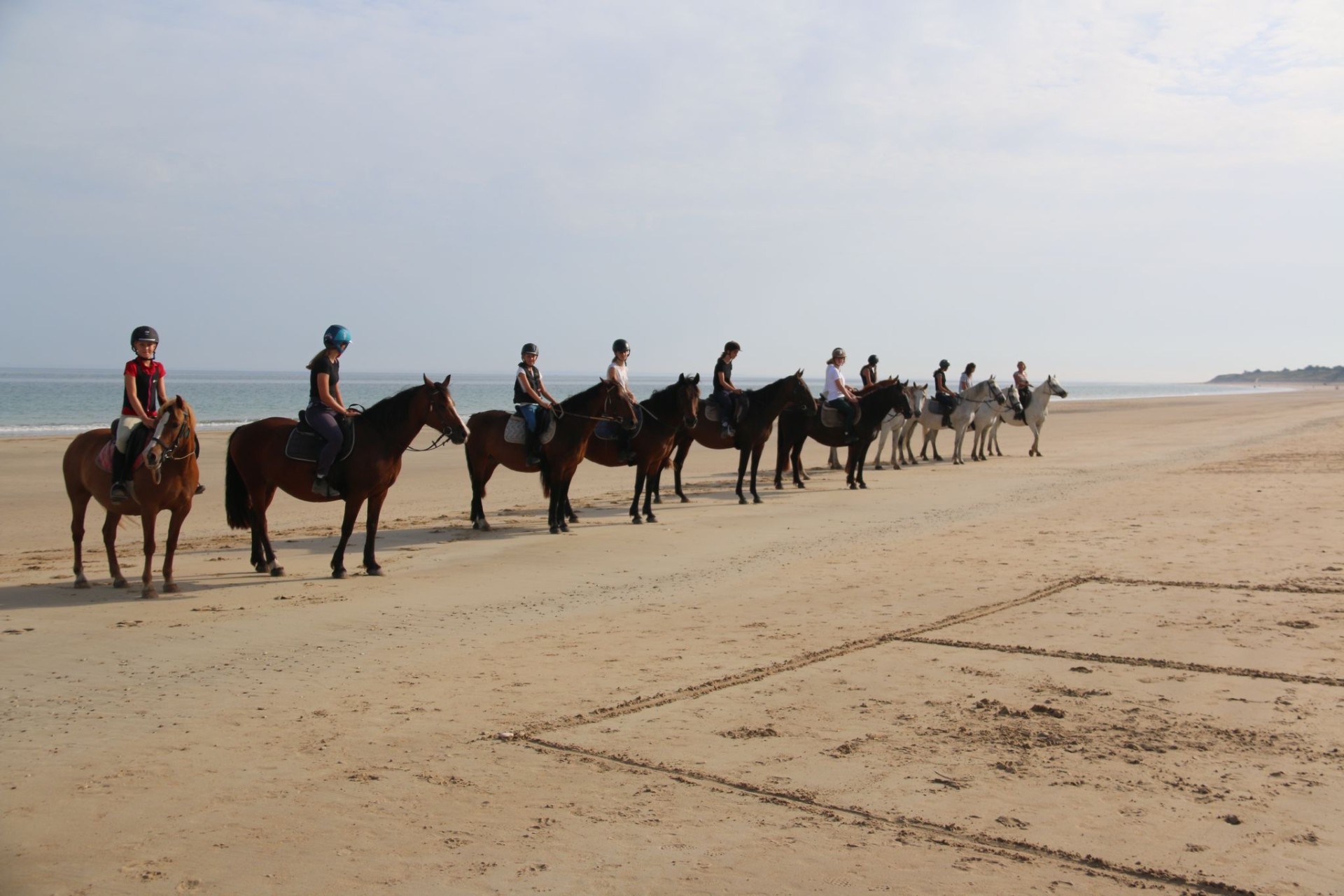 Été 2024 :  baignade des chevaux