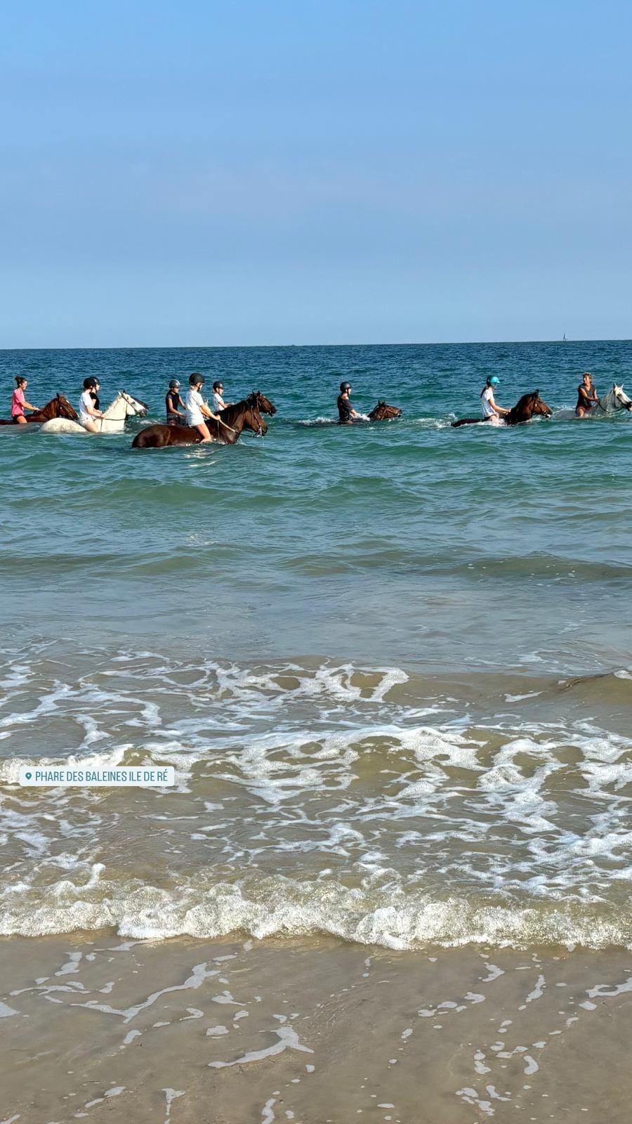 Été 2024 :  baignade des chevaux