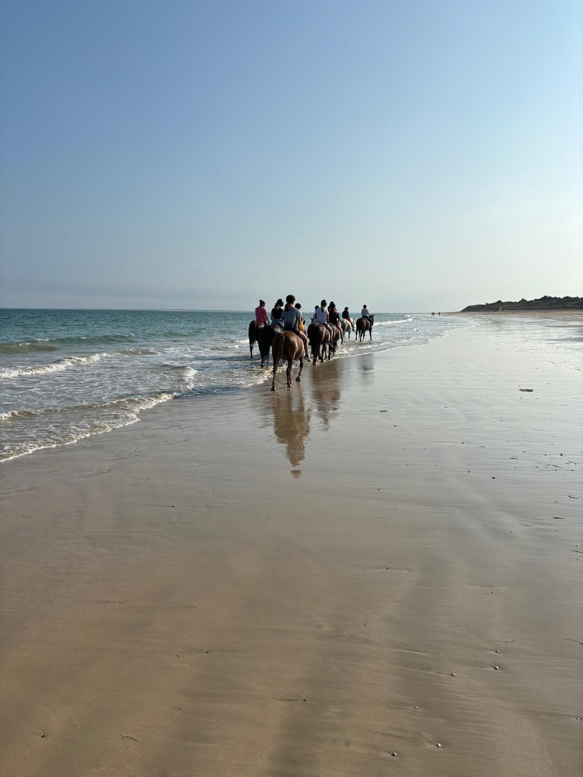 Été 2024 :  baignade des chevaux