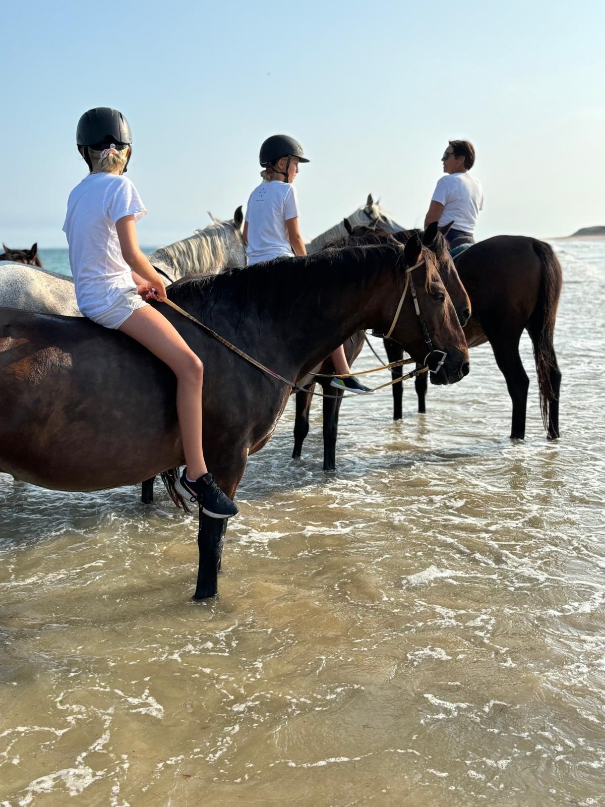 Été 2024 :  baignade des chevaux